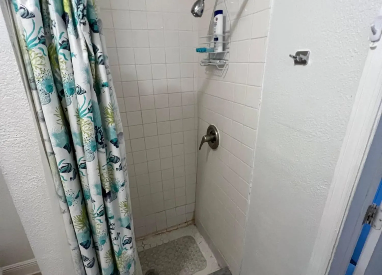 בית נופש טאמפה Cozy Studio Conveniently ארצות הברית